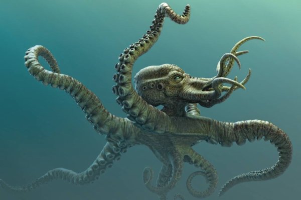Kraken вход kraken torion