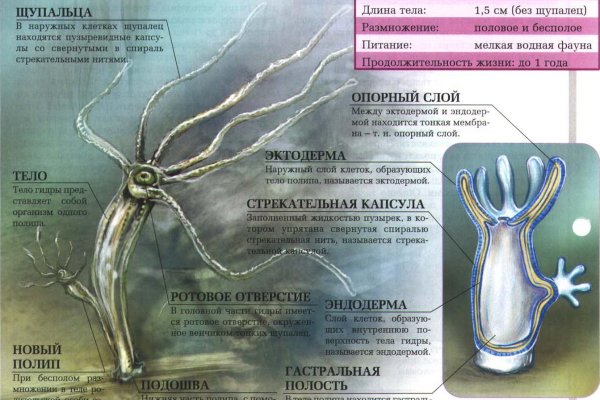 Kra31.at