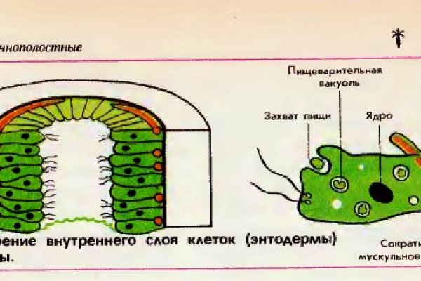 Кракен ссылка список